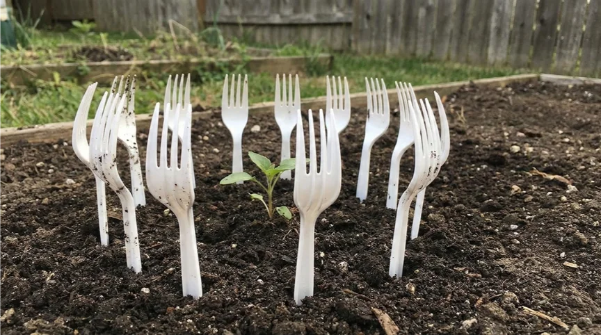 Stick Plastic Forks in Your Garden and Just Watch