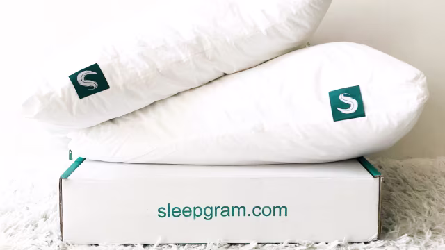 Sleepgram Bamboo Sheets