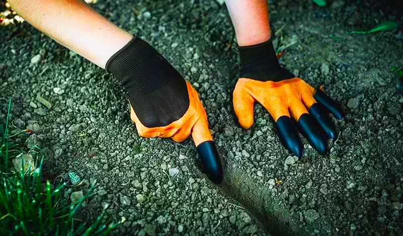 SuperClaws